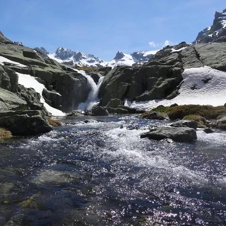 Castanos * Solana de ávila