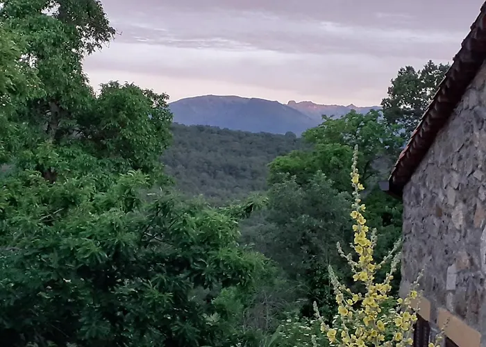 Vakantiehuis Castanos