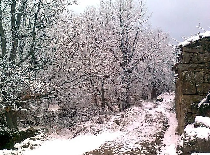 Castanos * Solana de Avila